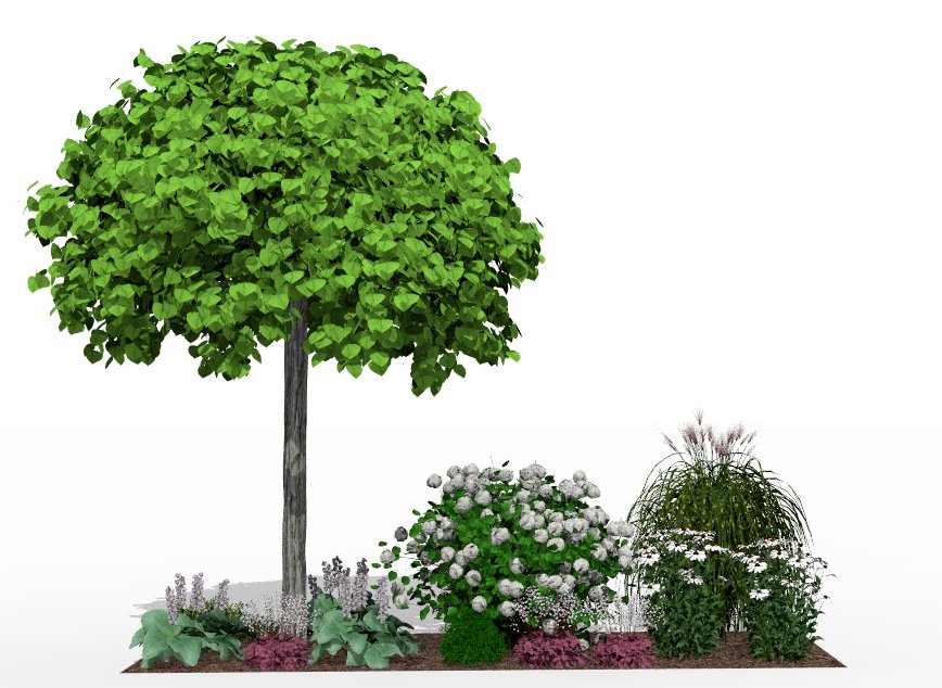 View of the garden bed at the height of summer