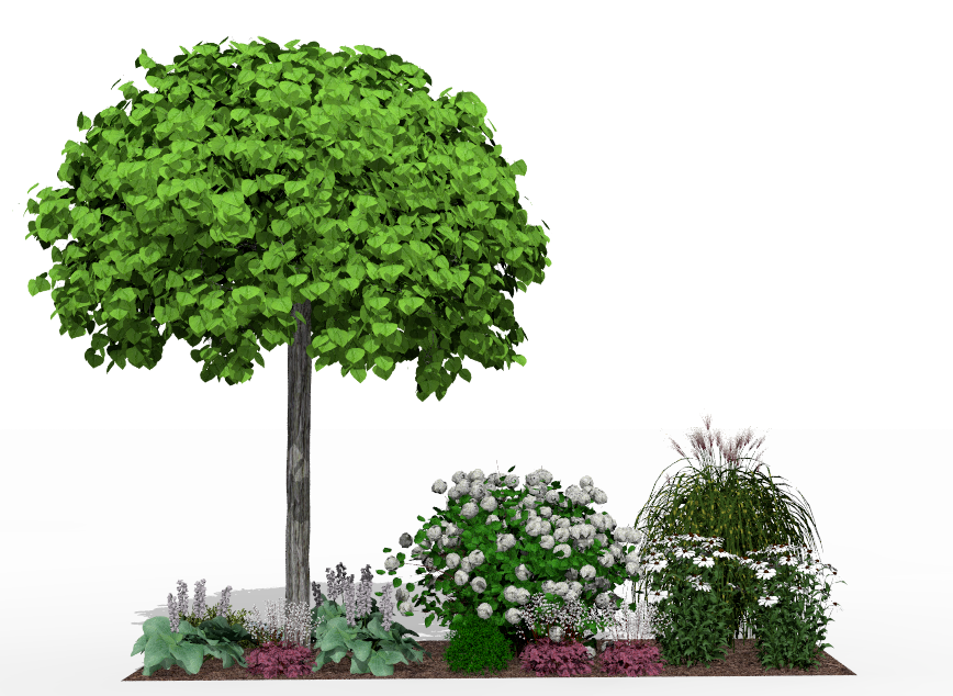 View of the garden bed at the height of summer