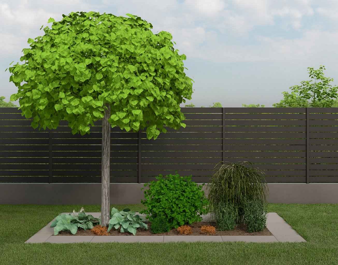 Spring garden bed against a modern fence - unfolding catalpa leaves and the first periwinkle flowers