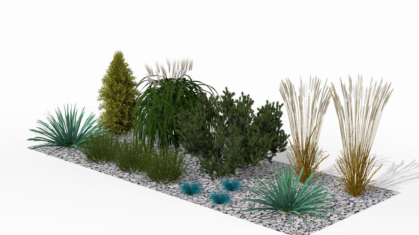 Autumn hues of the grasses and the structure of the evergreen plants