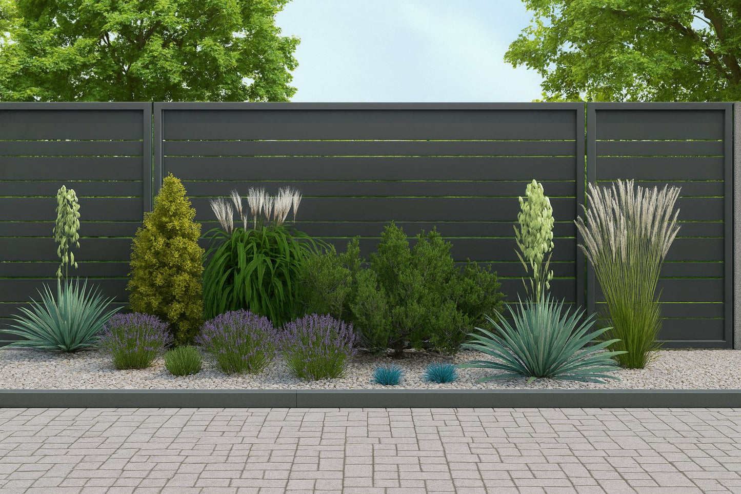 The composition in full summer bloom - flowering lavender creates a violet accent between silvery ornamental grasses and evergreen conifers against a fence