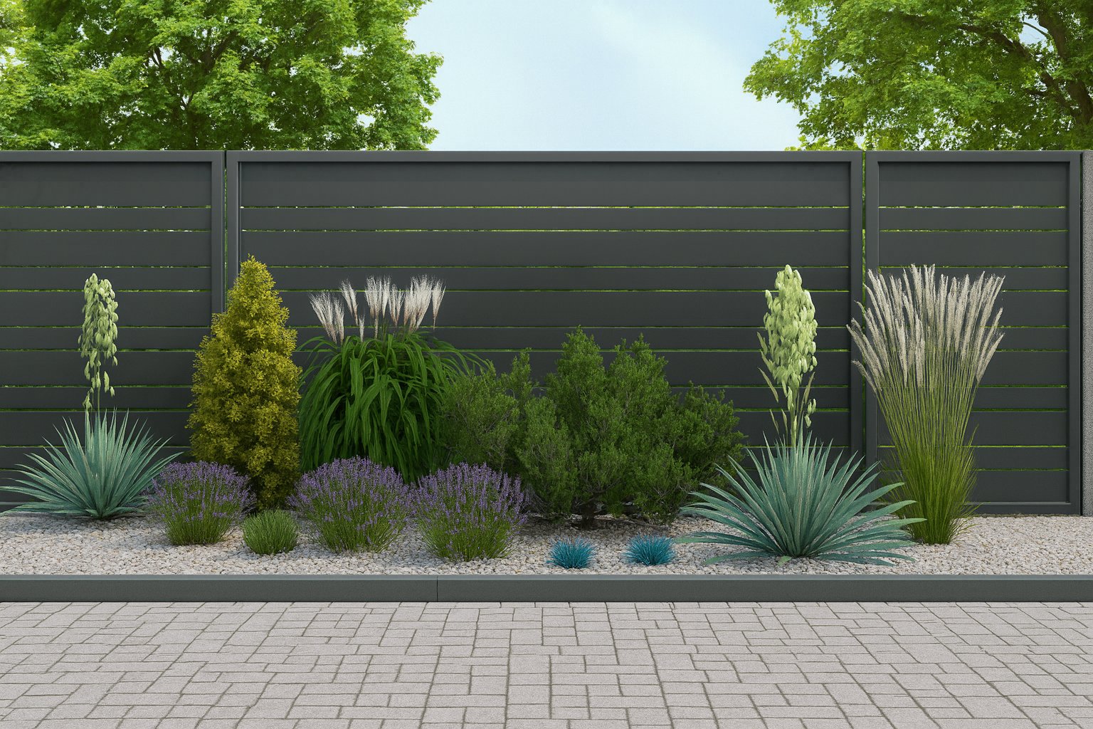 The composition in full summer bloom - flowering lavender creates a violet accent between silvery ornamental grasses and evergreen conifers against a fence