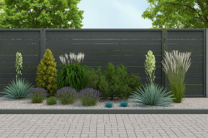 The composition in full summer bloom - flowering lavender creates a violet accent between silvery ornamental grasses and evergreen conifers against a fence