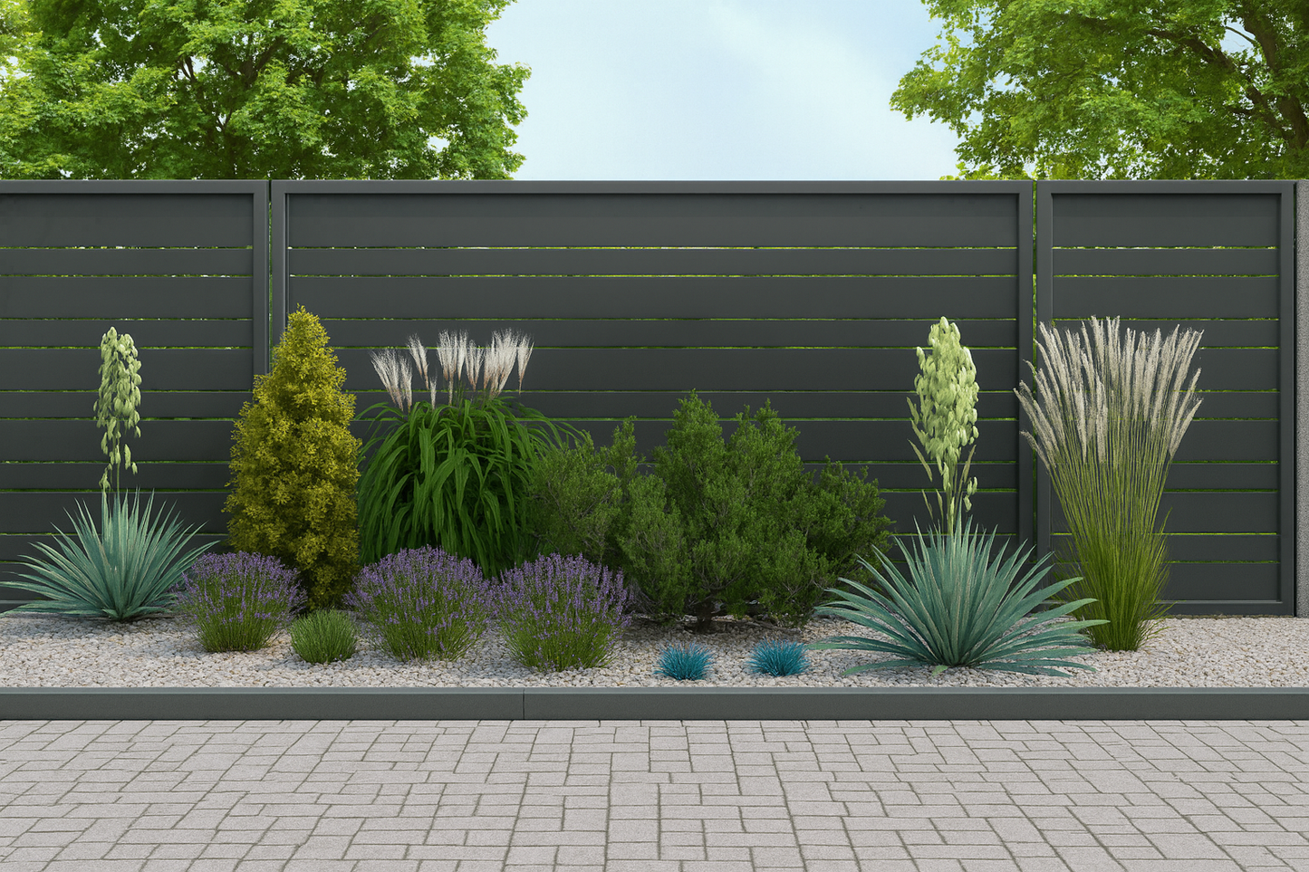 The composition in full summer bloom - flowering lavender creates a violet accent between silvery ornamental grasses and evergreen conifers against a fence