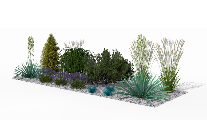 View of the garden bed at the height of summer