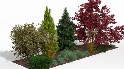Autumn color transformations against the evergreen backdrop of conifers