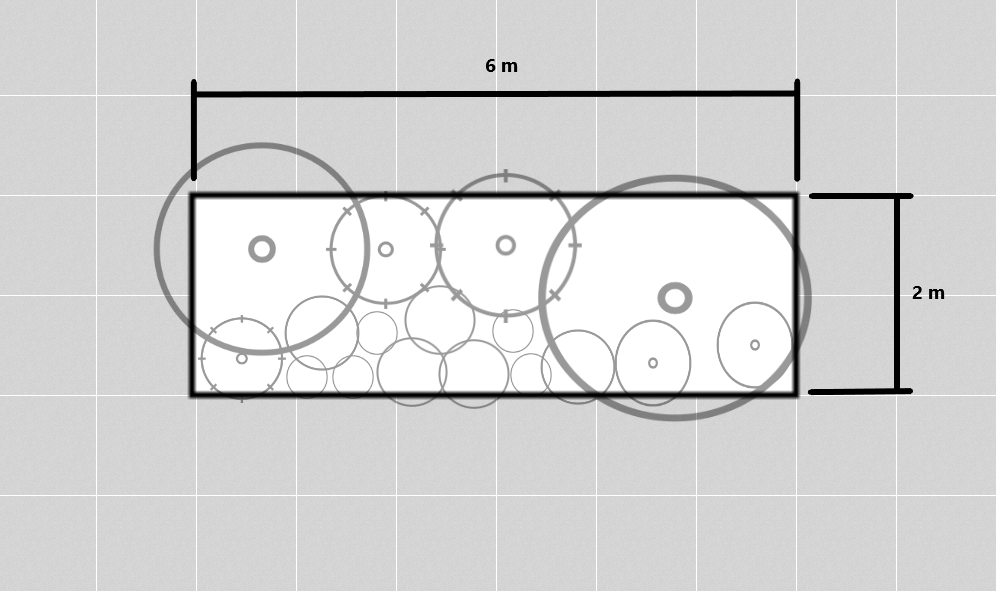 Garden bed plan with dimensions and plant placement