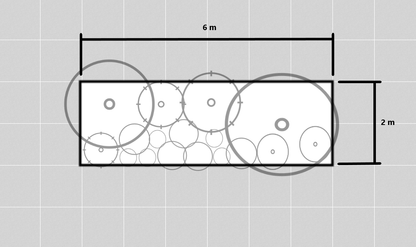 Garden bed plan with dimensions and plant placement