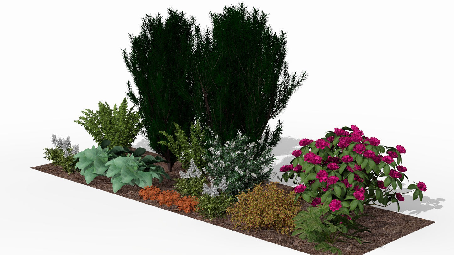 Spring view of the bed with young, colorful new growth and the first flowers against a backdrop of evergreen conifers