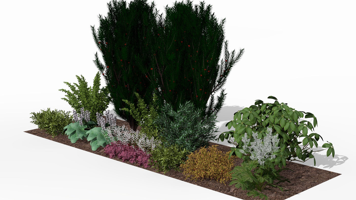 Summer display of the bed with lush greenery in varied shades, white flowers, and purple leaf accents