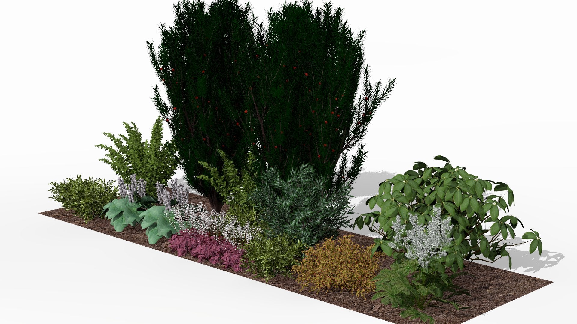 Summer display of the bed with lush greenery in varied shades, white flowers, and purple leaf accents