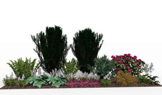 View of the garden bed at the turn of spring and summer
