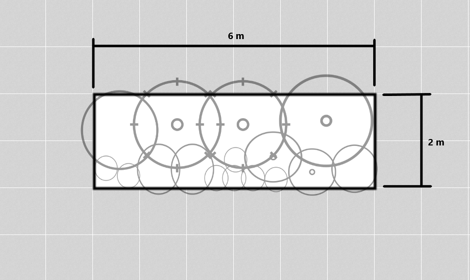Garden bed plan with dimensions and plant placement