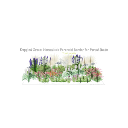 3D model of Dappled Grace
