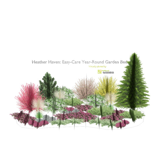 3D model of Heather Haven: Easy-Care Year-Round Garden Bed