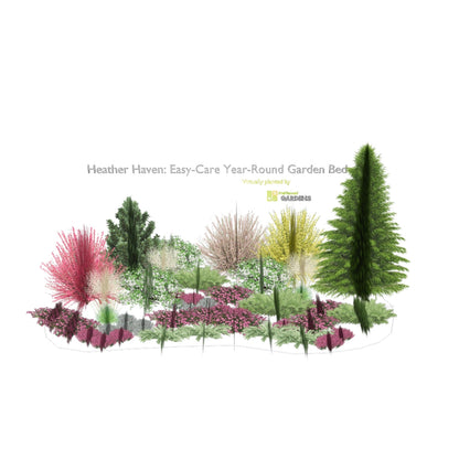 3D model of Heather Haven: Easy-Care Year-Round Garden Bed