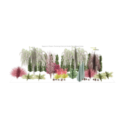 3D model of Seasons in Motion: Flowering Cherry & Smoke Tree Privacy Screen