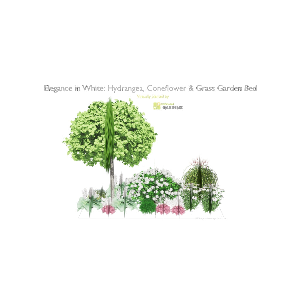 3D model of Elegance in White: Hydrangea, Coneflower & Grass Garden Bed