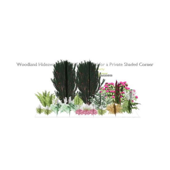 3D model of Woodland Hideaway: Layered Foliage Bed for a Private Shaded Corner