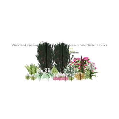 3D model of Woodland Hideaway: Layered Foliage Bed for a Private Shaded Corner